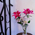 Aromatic Lilies